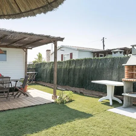 Guerrero Conil De La Frontera