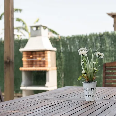 Guerrero Conil De La Frontera