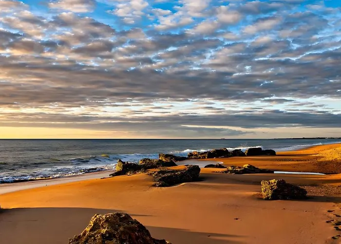 Guerrero Conil De La Frontera