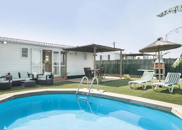 Guerrero Conil De La Frontera