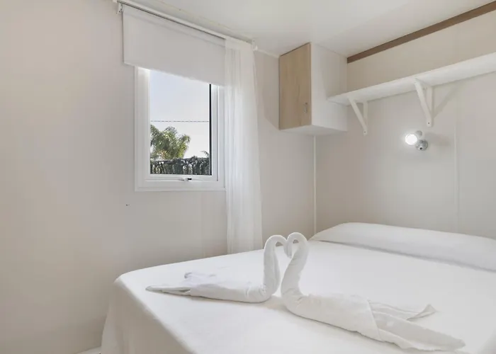 Guerrero Conil De La Frontera