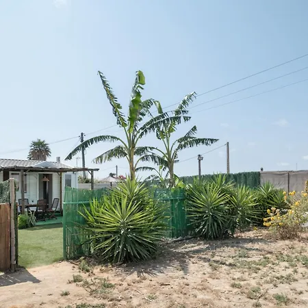 펜션 Guerrero 콘일데라프론테라